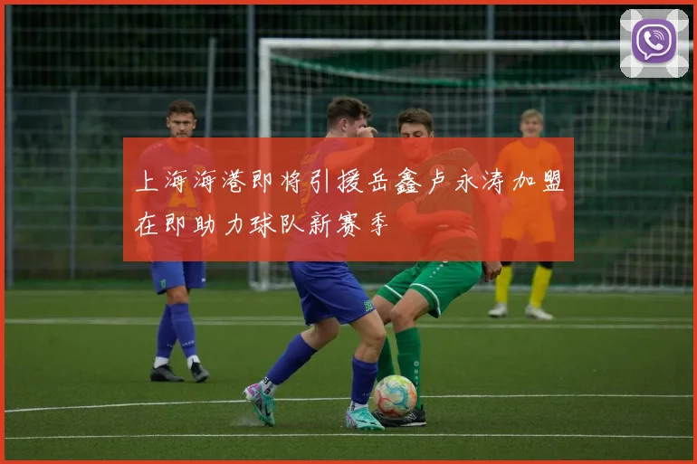 上海海港即将引援岳鑫卢永涛加盟在即助力球队新赛季